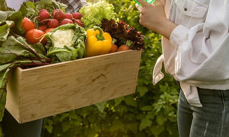 Tall Youths Foundation