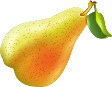 Tall Youths Foundation