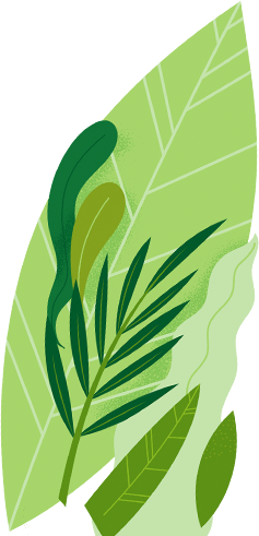 Tall Youths Foundation