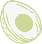 Tall Youths Foundation