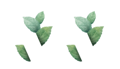 Tall Youths Foundation