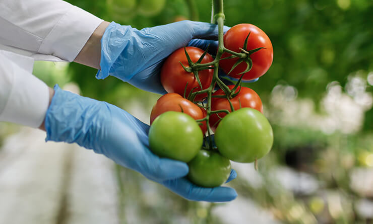 Tall Youths Foundation