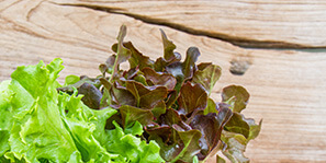 Tall Youths Foundation